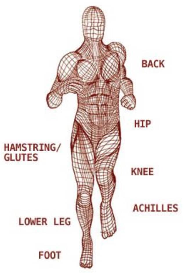 Fascia